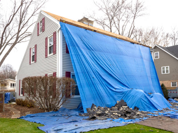 Best Custom Siding Design  in Delaware, OH